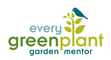 Evey Green Plant